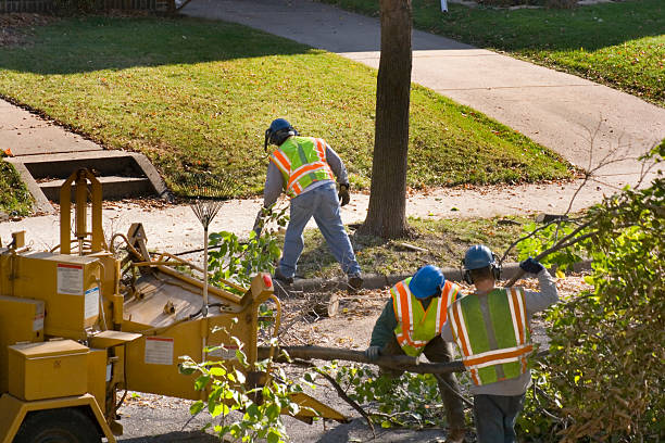 Best Weed Control  in Whittier, CA